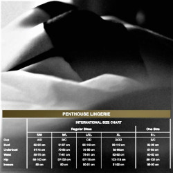 Penthouse - Scandalous Teddy Blanc Xl